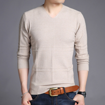 Rich bird spring and Autumn mens V-neck sweater casual Korean version knitted base shirt mens trend slim thin T-shirt