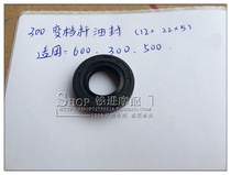Qianjiang original Huanglong BJ600GS Blue Baolong Small Huanglong 300 Jinpeng 500 gear lever oil seal