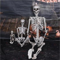 Halloween decorative skeleton skeleton corpse model haunted house horror props simulation scary bone hanging ghost