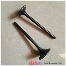 Jialing Zong Shen Longxin Xinyuan 125 150 200 250 Motorcycle CB Small Chain Engine Intake and Exhaust Valve