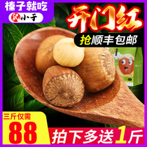 Rat less than Northeast specialty Tieling cooked wild hazelnut 1000g fresh hazelnut 2kg new special price