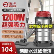 Yangzi vacuum cleaner household small large suction power powerful high power silent car dry and wet industrial vacuum cleaner