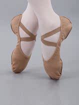 Zhengzhou high-grade belly dance shoes practice shoes Beginner yoga shoes non-slip cat paw elastic soft sole dance ballet