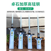 Tree digging shovel agricultural shovel planting tree all-steel tool Luoyang shovel seedling broken root outdoor digging pit artifact