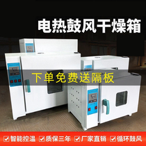 Electric Hot Blast Thermostatic Drying Cabinet Laboratory Industrial Oven Drying Box Oven Aged Chinese Herbal Medicine Small Food