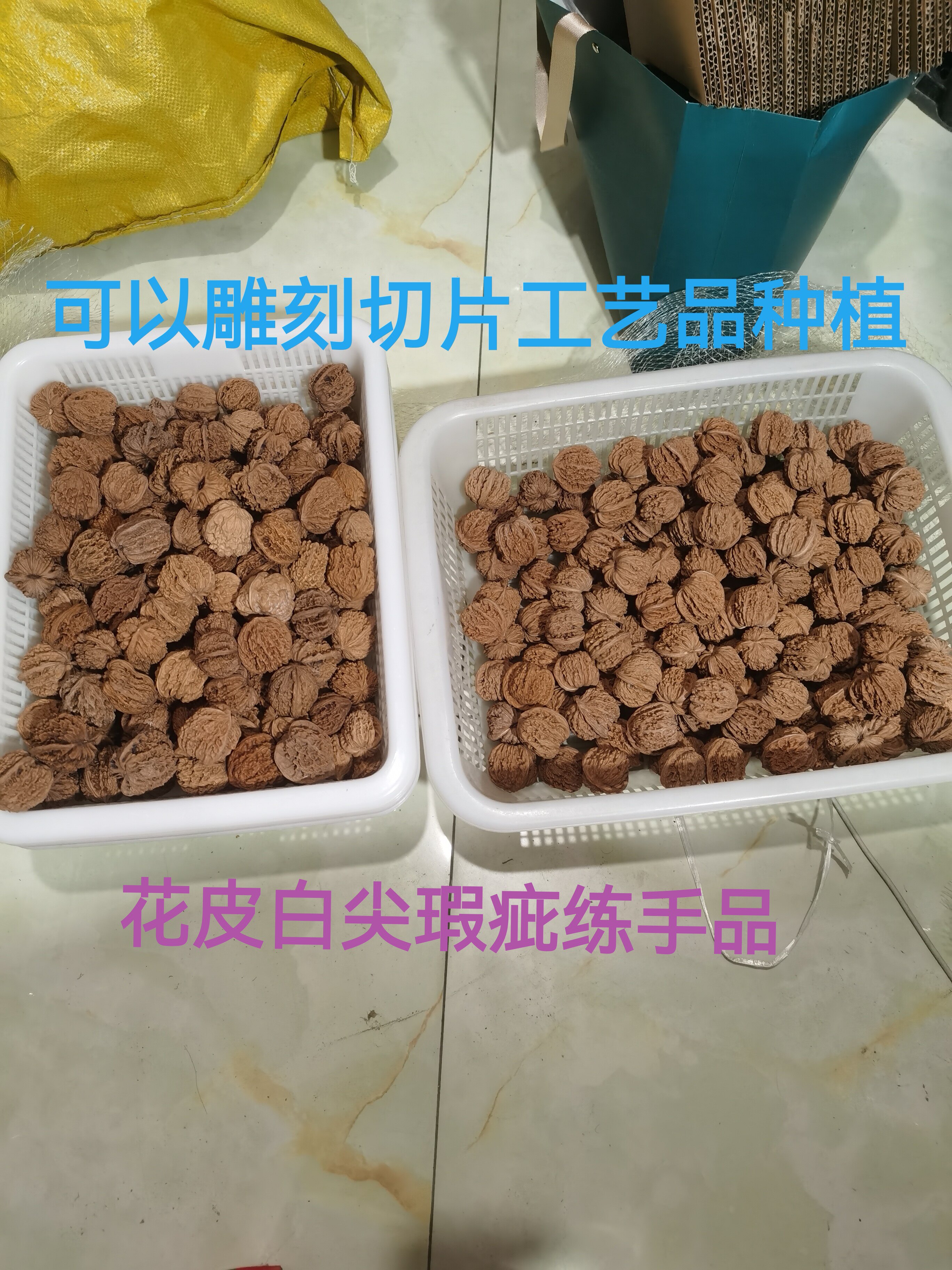 文玩核桃批发-文玩核桃批发促销价格、文玩核桃批发品牌- 淘宝