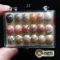 More than 18 rainbow Cheong screw small box sets to choose one more