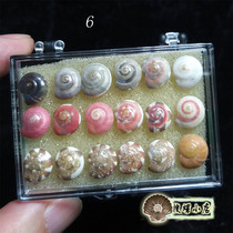 18 Rainbow Changluo Small Box Set Choose One More