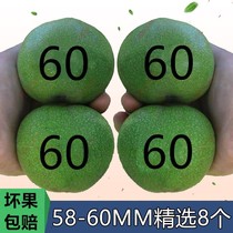 Old tree walnut Wen play green skin big stuffy tip four buildings white lion Tiger Head full Star Apple Orchard official hat play