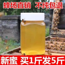(Buy 1 hair 5) Honey farmers produce pure hundred nectar wild Crystal soil honey date nectar mature acacia honey