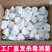 Large pieces of quicklime 50kg dehydrating agent desiccant indoor 10kg household indoor room fish pond sterilization desiccant
