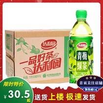 Jiangsu Zhejiang Shanghai and Anhui Dali Garden Plum green Tea Tea drink 500ml*15 bottles of the whole box of plum tea green tea