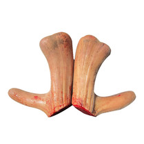 Jilin Plum Blossom Antler Fresh Whole Plum Blossom Antler Pot Soup Nourishing Head Stubble Two Bars Antler Blood Bubble Wine Material Products