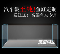 Professional 5S Jinjing car to pure ultra-white ultra-transparent Creek Lake fish special stream grass goldfish sea water tank