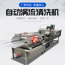 Voltaire Washing Machine Voltage Washing Machine Vegetable Float Washing Machine Equipment
