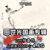 Tian Saguang Chinese Painting Album Painting Painting Material High-definition Picture Printing Electronic Edition
