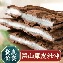 Eucommia ulmoides wild bark traditional Chinese medicine soaked in water tendons and bone pain tonifying the waist halberd wine old tree Eucommia 500g