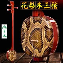 Suzhou Mahogany three-string musical instrument Rosewood small three-string middle three-string three-string instrument exam playing piano