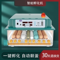 Incubator chicken duck goose rutin chicken incubator incubator automatic intelligent incubator small household incubator