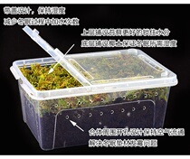 Moss small warm climbing pet turtle hibernation box coconut soil small turtle winter household goods equipment pet