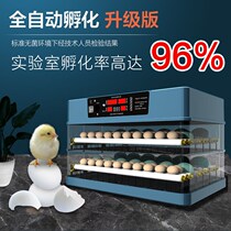 Incubator automatic household chicken incubator small incubator water bed smart duck goose bird pigeon egg machine