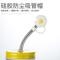 Net red dustproof glass straw set Non-disposable drinking water accessories Environmental protection stainless steel elbow extended ins wind