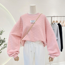 Spring new gestational woman dress big code thin section long sleeve sweatshirt woman Han version loose design feel blouse net red same wave
