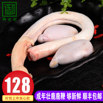 Deer whip whole fresh whole branch Fresh deer whip Male male Jilin Sika deer whip whole Shunfeng