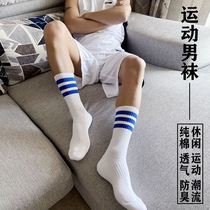 White socks men gay socks mens tide cotton sports basketball socks boys thick towel bottom running fitness
