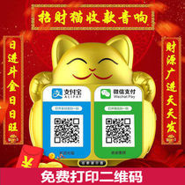 Net red Lucky Cat big ornaments collect money QR code friend hotel open shop opening gift gift high-end creative