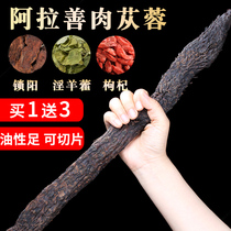 Cistanche deserticola whole root Inner Mongolia special non-Xinjiang wild Cynomorium Epimedium Powder Flagship Store Chinese herbal medicine