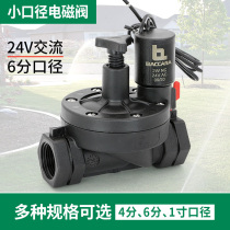 24v220v AC irrigation solenoid valve outdoor 4 minutes 6 minutes 1 inch normally closed control water valve timing switch equipment