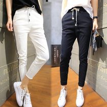 Seven-minute Harlen pants Spring and Autumn Spring Fertility Small Foot Pants Loose Nine Sports Casual Pants