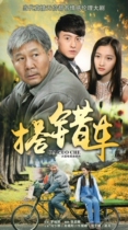Urban Emotion TV series Hitchhiking the wrong car Home DVD Disc Disc Ma Shaohua Guan Xiaotong
