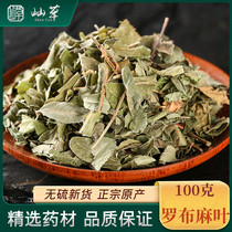 Apocynum Venetum leaf 100g