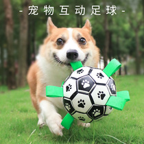 Dog toy ball football alone relief artifact elastic ball bite resistant interactive pet toy simulation Teddy Corky