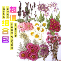 Pressed flower diy material natural dried flower package real flower epoxy mobile phone shell handmade fan rose bookmark summer holiday gift