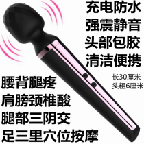 Multifunctional cervical vibration massage stick charging portable vibration massager men and women arm shoulder waist leg massage