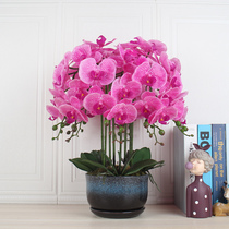 With Basin PU Butterfly Lan Emulation Florid Hand Feel Plastic Fake Flowers Hotel Decent Board Room front floor Tray Exhibition Hall Decoration Furnishing