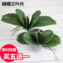 PU material simulation phalaenopsis leaves Large branch orchid leaves flower arrangement with grass green plant potted fake leaf decorative flowers
