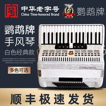  Parrot accordion 8 32 48 60 96 120 bass three or four rows of spring button accordion beginner performance