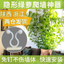 Green basket wall climbing artifact fixing clip Household seamless pinch climbing hanging hook Indoor living room punch-free buckle ring