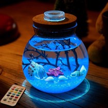  ins birthday gift girl boyfriend girlfriend Tanabata New Year wishing bottle creative night light practical luminous decoration