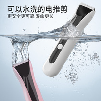 Pet Shaver dog electric clipper cat shearing artifact dog hair pruning Clipper self-scissors Teddy