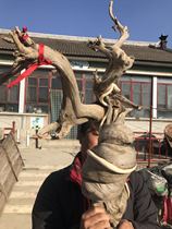 Taihang cliff tree root carving boutique red oil aging material large material area root material old material carving material with type ornaments