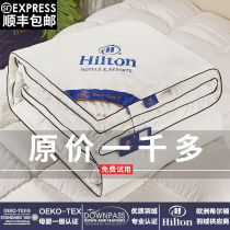 Exit Hilton hotel silk quilt 100 mulberry silk Spring and autumn quilt quilted by the core winter quilted by cotton quilted by air conditioning