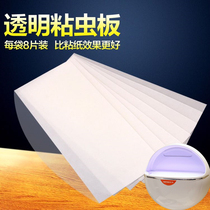 Home Sticky Trap Mosquito Killer Mosquito lamp Special transparent Sticky Insect plate Stained Insect paper Fly Paper Sticky Fly Moth