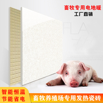 Pet electric brick animal husbandry floor heating pig incubator cat dog heating heating tile in winter
