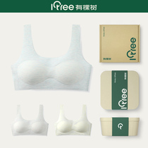 Tree underwear women without steel ring underwear sports vest youth development Junior High School High School students bra bra bra