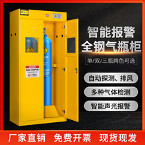 Gas bottle cabinet safety cabinet laboratory all-steel explosion-proof double bottle gas tank gas tank oxygen acetylene cylinder storage cabinet